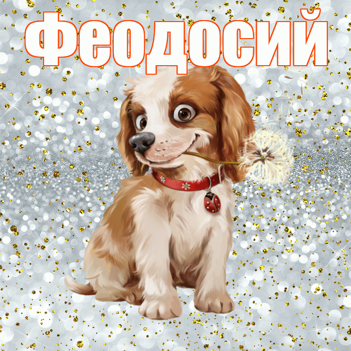 Феодосий! С добрым утром! Красивая открытка Феодосию!