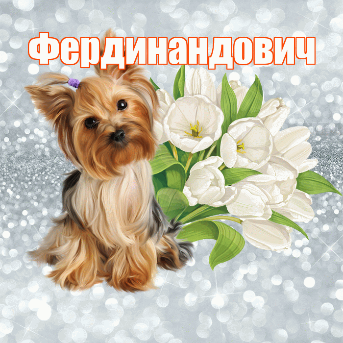 Фердинандович! С добрым утром! Красивая открытка Фердинандовичу!
