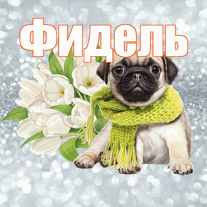 Фидель! С добрым утром! Красивая открытка Фиделю!