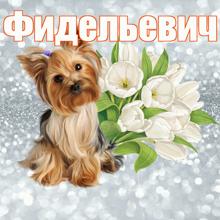 Фидельевич! С добрым утром! Красивая открытка Фидельевичу!