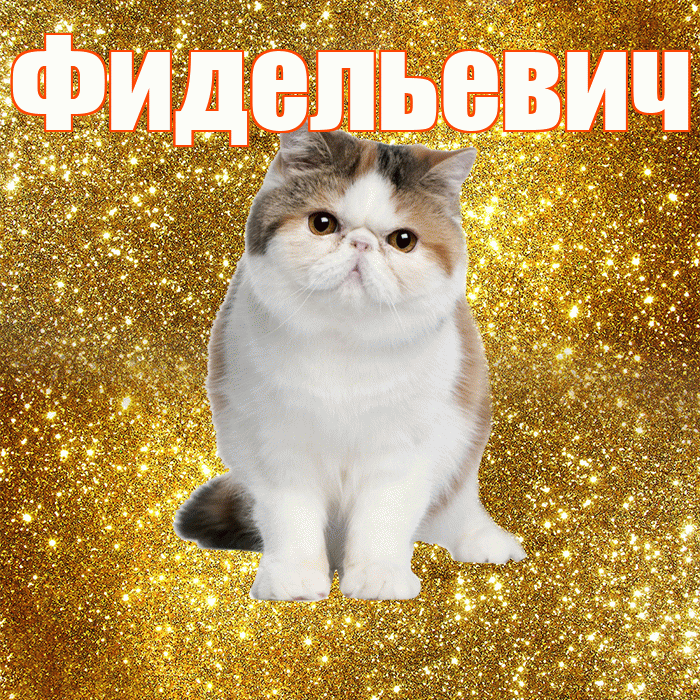 Фидельевич! С добрым утром! Красивая открытка Фидельевичу!