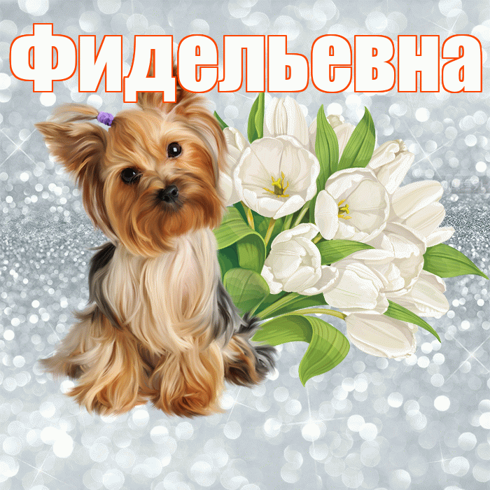 Фидельевна! С добрым утром! Красивая открытка Фидельевне!