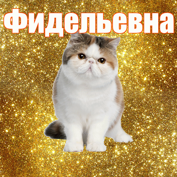 Фидельевна! С добрым утром! Красивая открытка Фидельевне!