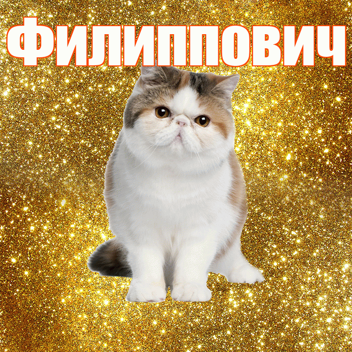 Филиппович! С добрым утром! Красивая открытка Филипповичу!