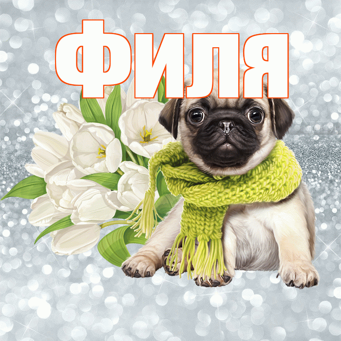 Филя! С добрым утром! Красивая открытка Филе!