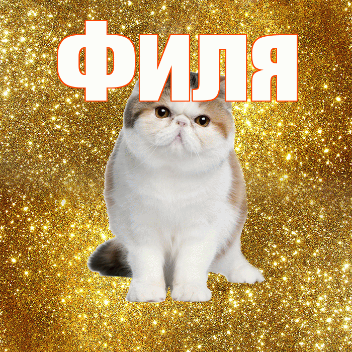 Филя! С добрым утром! Красивая открытка Филе!