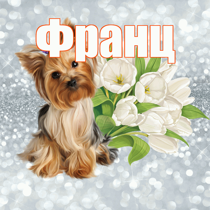 Франц! С добрым утром! Красивая открытка Францу!