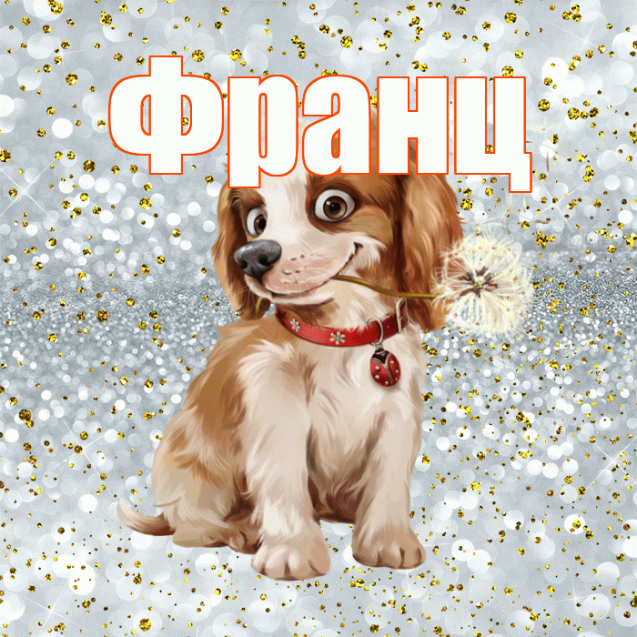 Франц! С добрым утром! Красивая открытка Францу!