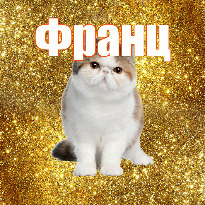 Франц! С добрым утром! Красивая открытка Францу!