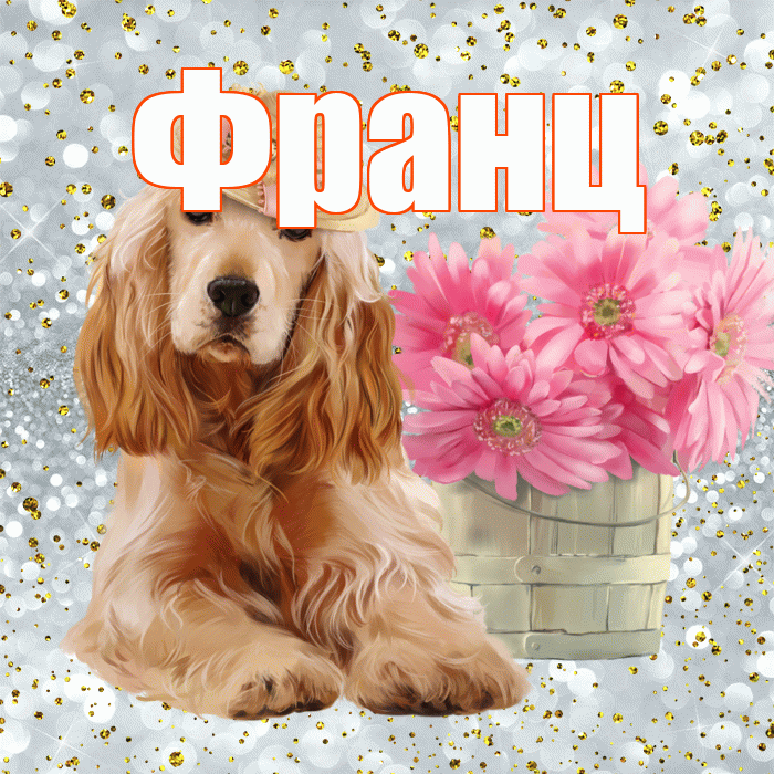 Франц! С добрым утром! Красивая открытка Францу!