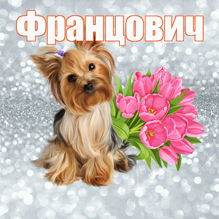 Францович! С добрым утром! Красивая открытка Францовичу!
