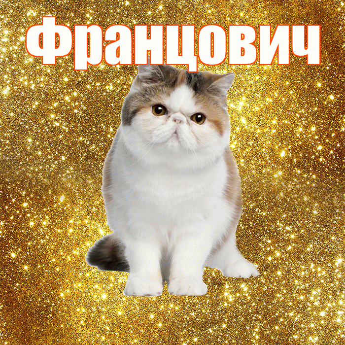 Францович! С добрым утром! Красивая открытка Францовичу!