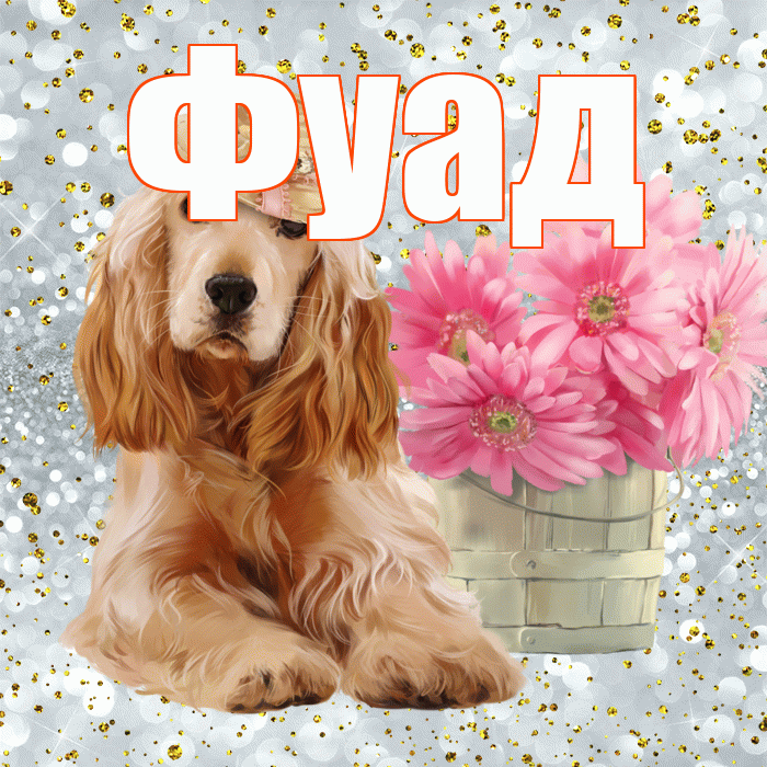 Фуад! С добрым утром! Красивая открытка Фуаду!