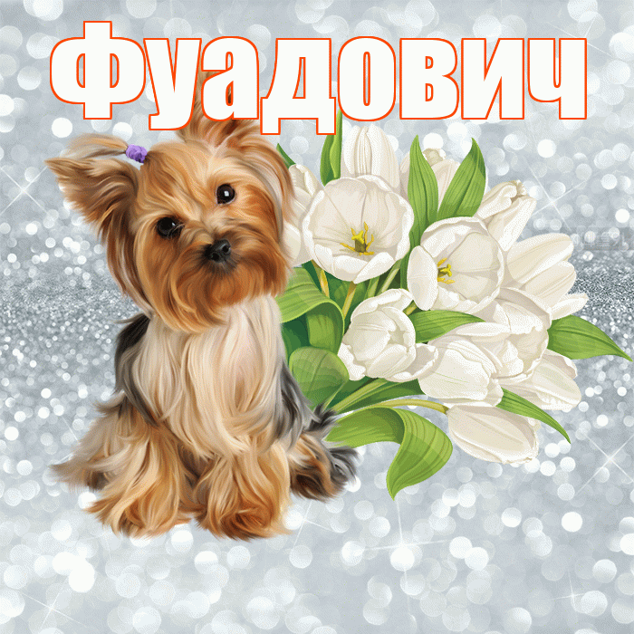 Фуадович! С добрым утром! Красивая открытка Фуадовичу!