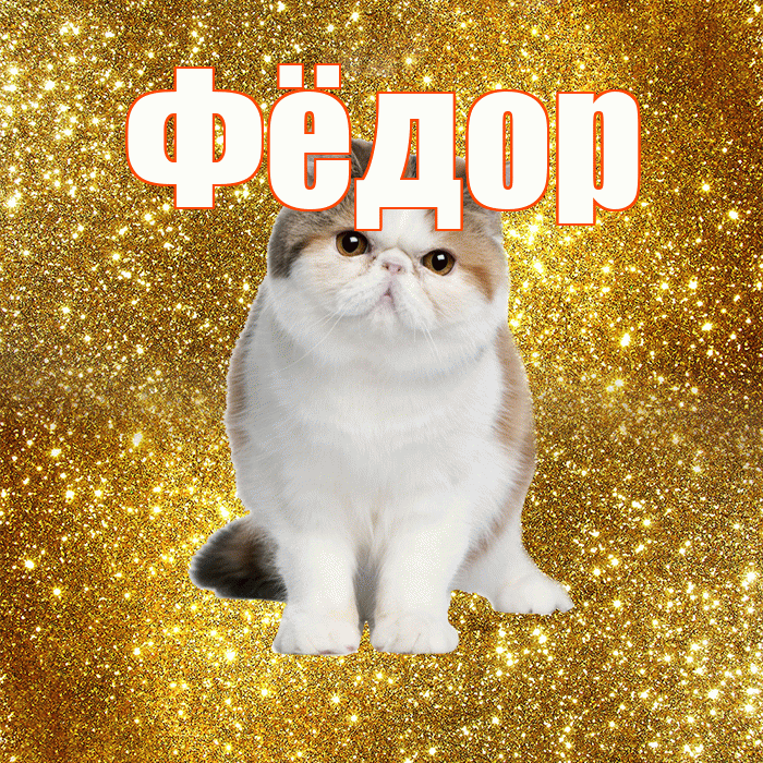 Фёдор! С добрым утром! Красивая открытка Фёдору!