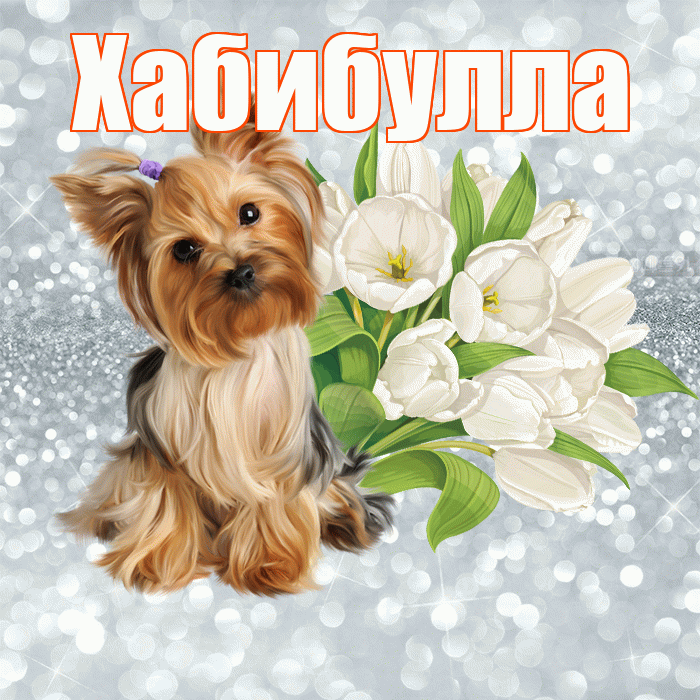 Хабибулла! С добрым утром! Красивая открытка Хабибулле!