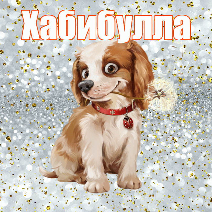 Хабибулла! С добрым утром! Красивая открытка Хабибулле!