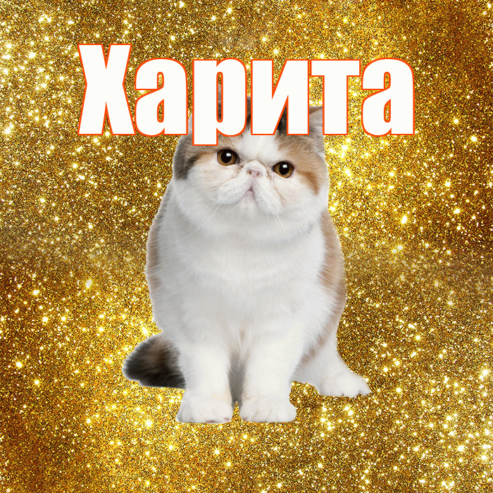 Харита! С добрым утром! Красивая открытка Харите!
