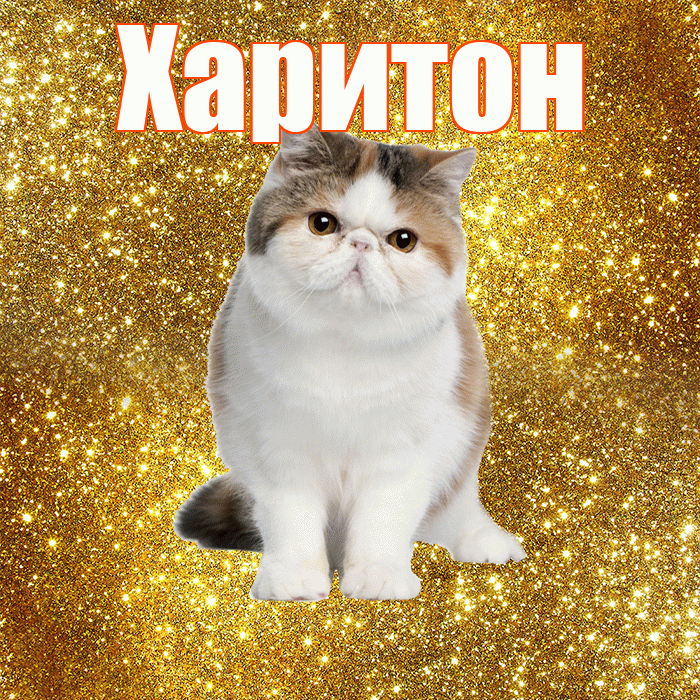 Харитон! С добрым утром! Красивая открытка Харитону!