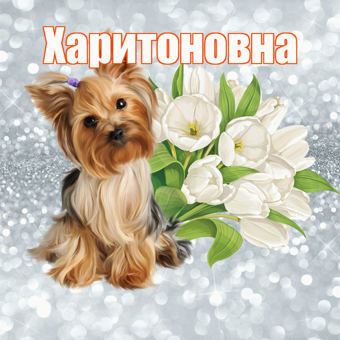 Харитоновна! С добрым утром! Красивая открытка Харитоновне!