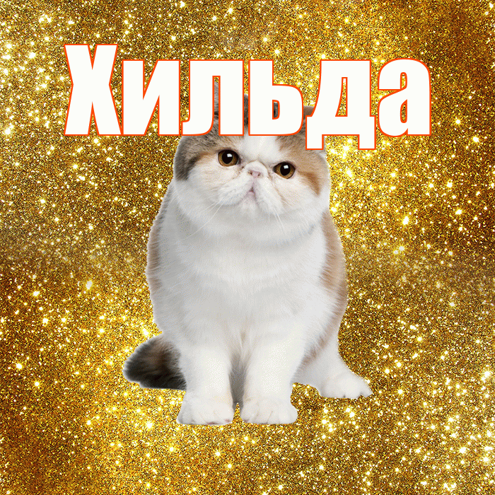 Хильда! С добрым утром! Красивая открытка Хильде!