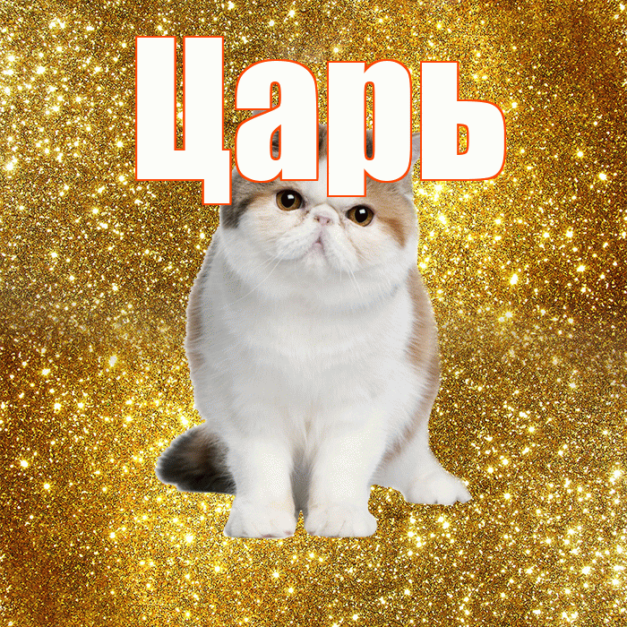 Царь! С добрым утром! Красивая открытка Царю!