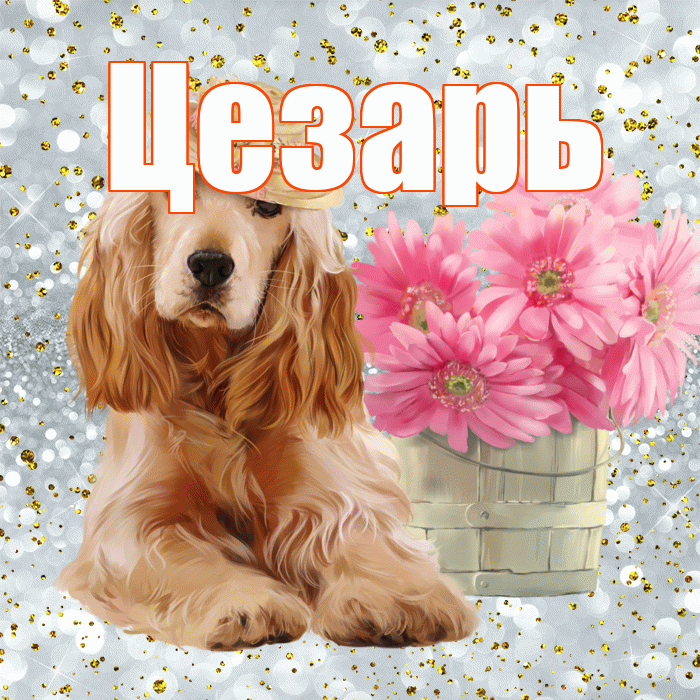 Цезарь! С добрым утром! Красивая открытка Цезарю!