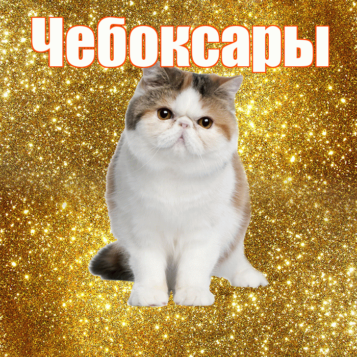 Чебоксары! С добрым утром! Красивая открытка Чебоксары!