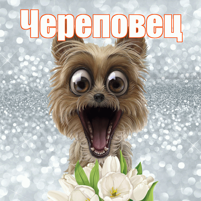 Череповец! С добрым утром! Красивая открытка Череповецу!
