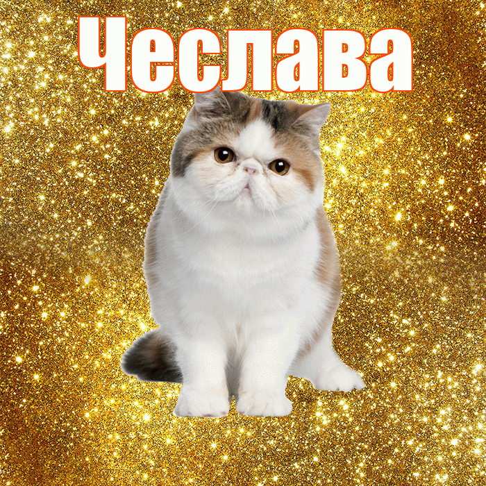 Чеслава! С добрым утром! Красивая открытка Чеславовне!