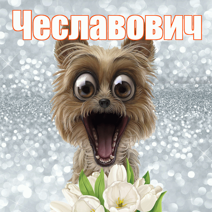 Чеславович! С добрым утром! Красивая открытка Чеславовичу!