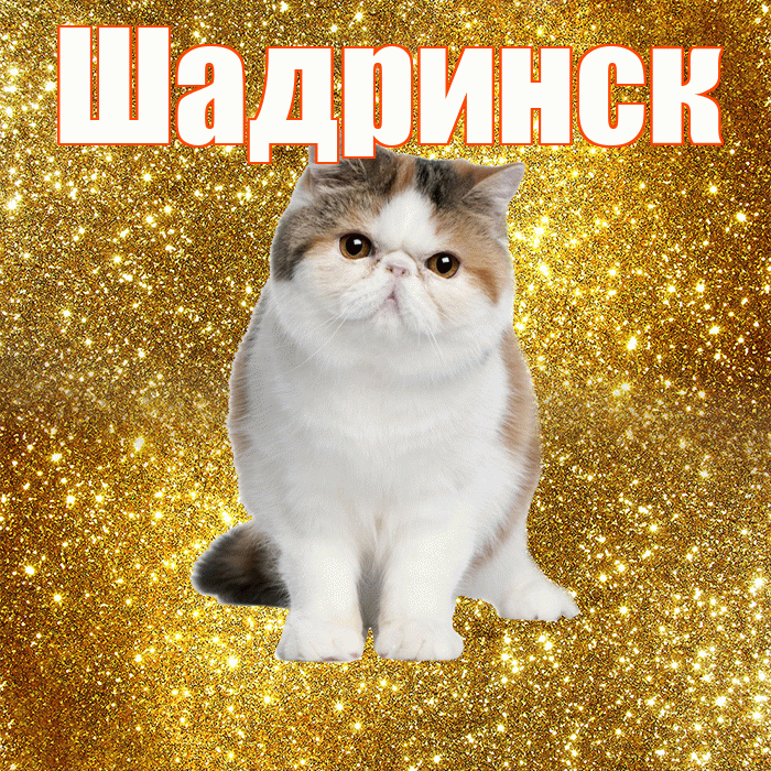 Шадринск! С добрым утром! Красивая открытка Шадринску!