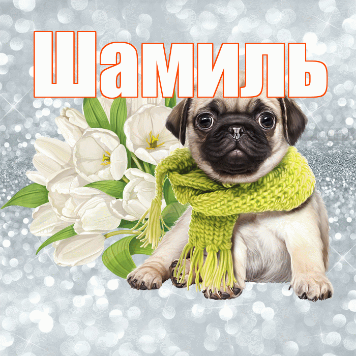 Шамиль! С добрым утром! Красивая открытка Шамилю!