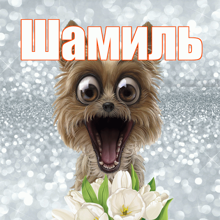 Шамиль! С добрым утром! Красивая открытка Шамилю!
