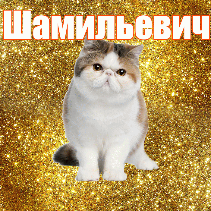 Шамильевич! С добрым утром! Красивая открытка Шамильевичу!