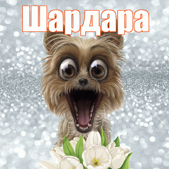 Шардара! С добрым утром! Красивая открытка Шардаре!