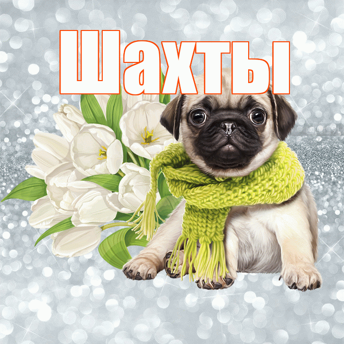Шахты! С добрым утром! Красивая открытка Шахты!
