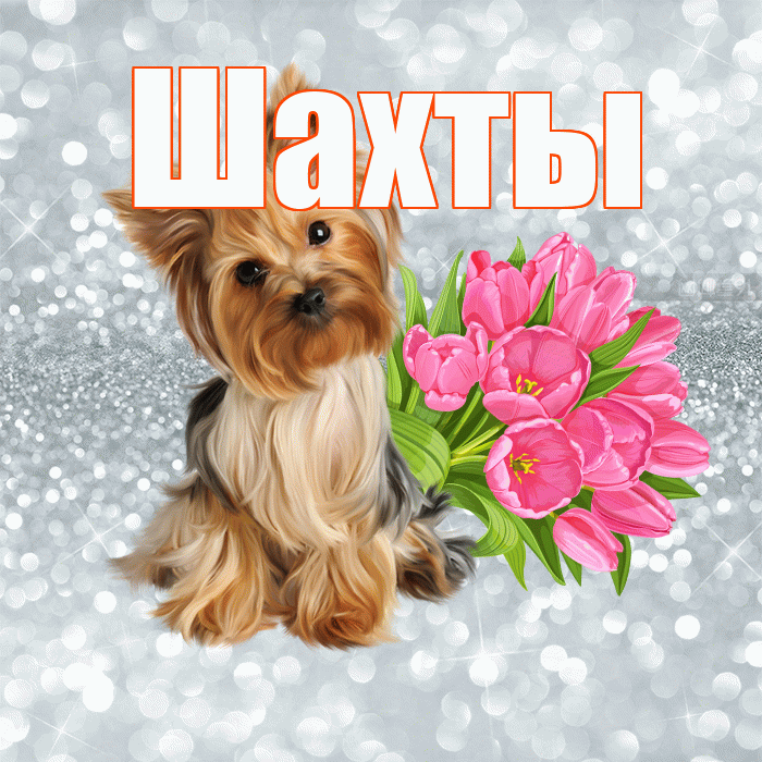 Шахты! С добрым утром! Красивая открытка Шахты!