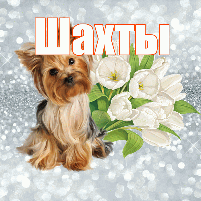 Шахты! С добрым утром! Красивая открытка Шахты!