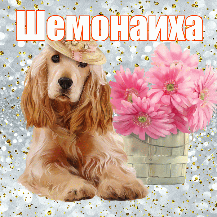 Шемонаиха! С добрым утром! Красивая открытка Шемонаихе!