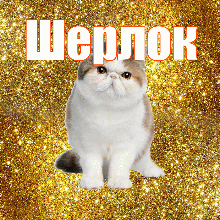Шерлок! С добрым утром! Красивая открытка Шерлоку!