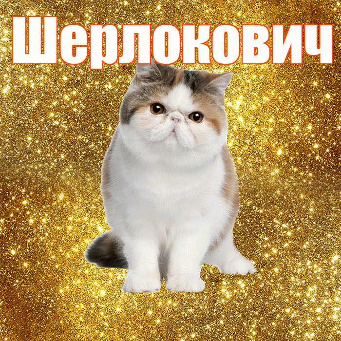 Шерлокович! С добрым утром! Красивая открытка Шерлоковичу!