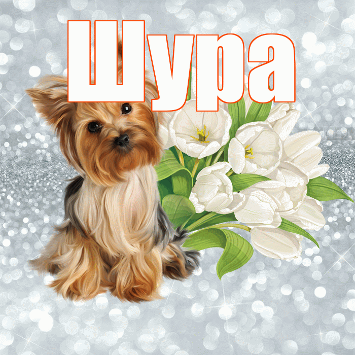 Шура! С добрым утром! Красивая открытка !