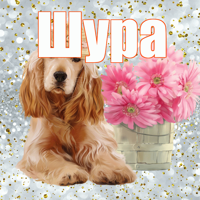 Шура! С добрым утром! Красивая открытка !