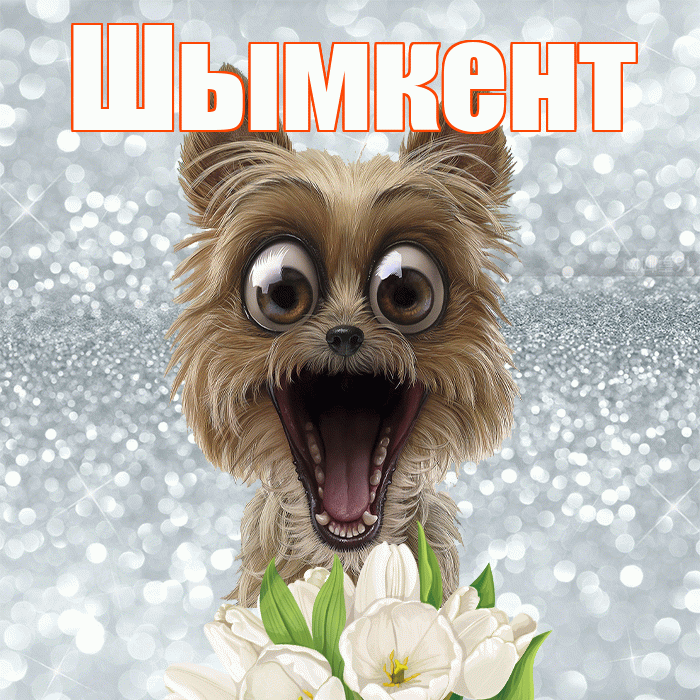 Шымкент! С добрым утром! Красивая открытка Шымкенту!