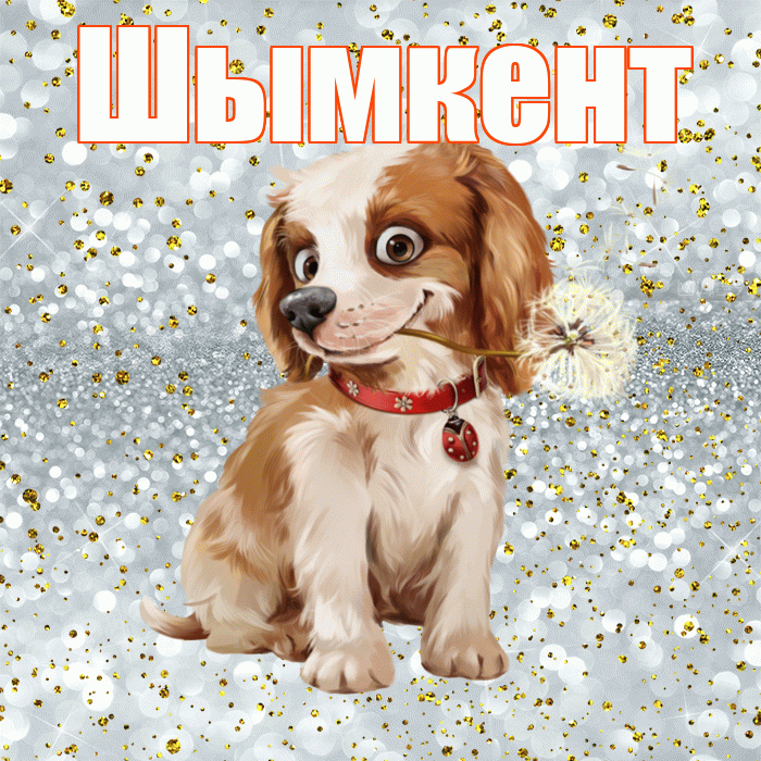 Шымкент! С добрым утром! Красивая открытка Шымкенту!