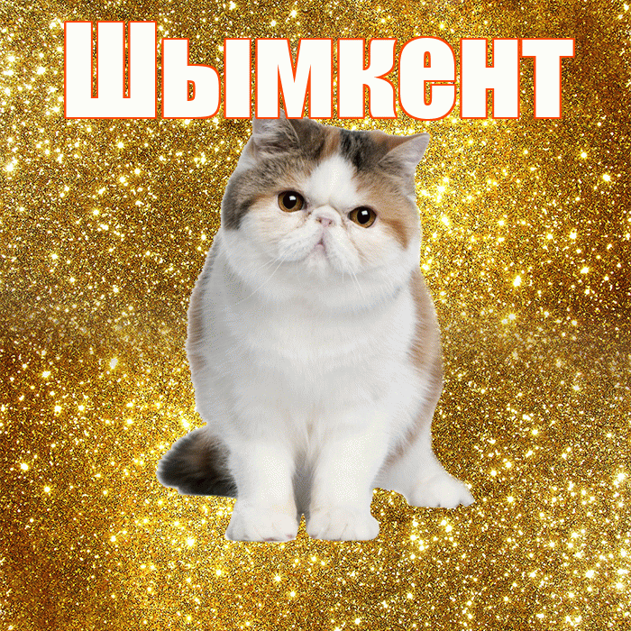 Шымкент! С добрым утром! Красивая открытка Шымкенту!