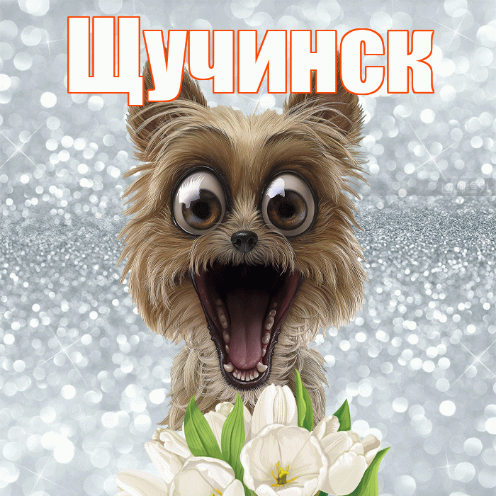 Щучинск! С добрым утром! Красивая открытка Щучинску!