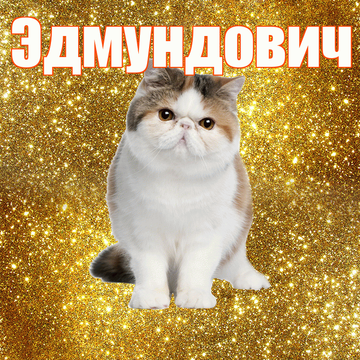 Эдмундович! С добрым утром! Красивая открытка Эдмундовичу!