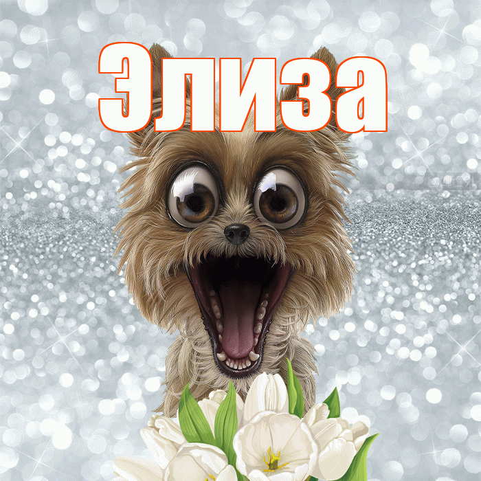 Элиза! С добрым утром! Красивая открытка Элизе!